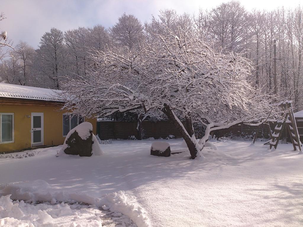 Ferienwohnungen Vidoni Bodensdorf Buitenkant foto